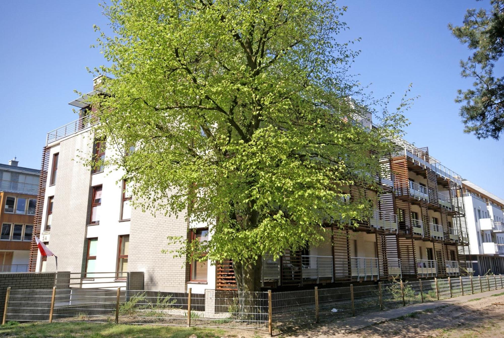 Apartamenty Swinoujscie - Zacisze Lesne Dış mekan fotoğraf